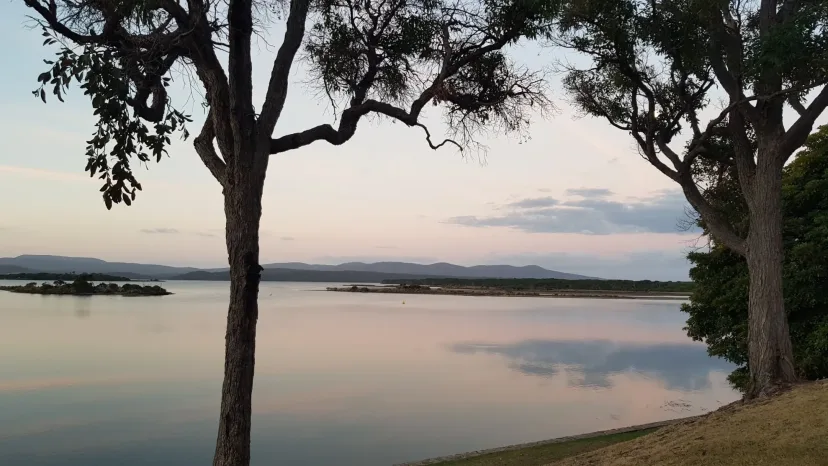 A gum tree silhouetted against a sunset over Mallacoota Inlet.